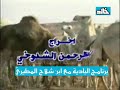 برنامج البادية مع ابن شلاح المطيري