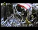 Mayday:Niños en la Cabina (3/5) Catastrofes Aereas