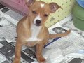 â?¥Getting ready for a nap â?¥Getting ready for a nap