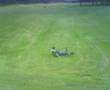 Tapps Hill roll