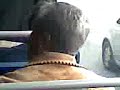 Anciana peleando en el Transmilenio