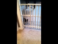 dean, zach and alley - YouTube