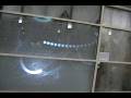 videos de David Fodel: Video Installation at Denver International Airport