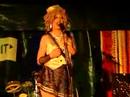 Kitten on the Keys at Vau de Vire Society\