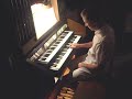 Towny: Reger - Introdukcja d-moll