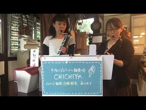 動画