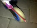 nata explota