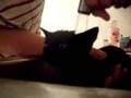 Naked Shower Scene: Jack The Kitty Wizard