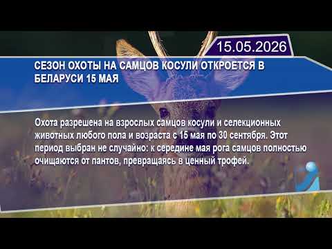 Новостная лента Телеканала Интекс 15.05.26.