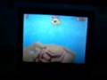 sm64 cannon glitch DS