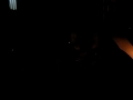 who�s in the bunker