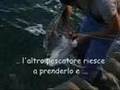 La Pesca del Gabbiano