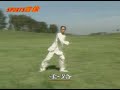 San Lu ChaQuan Classical LongFist