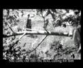 photo film