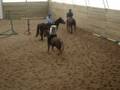 videos de Jumping Mouse
