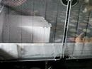 Movingbox 1