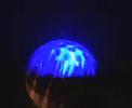 ddm bouncy ball ddm bouncy ball
