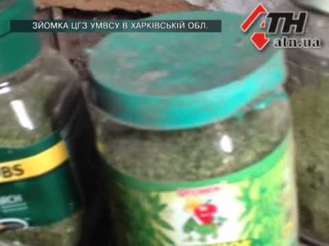 Смотреть видео