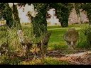Parco Taburno Camposauro - BUCCIANO