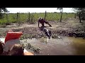Click here to watch this video Alimentando Jacarés Rio Pixaim - Pantanal/MT guia PEIXINHO