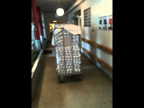 Omnimover -