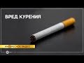 Click to View : Вред курения