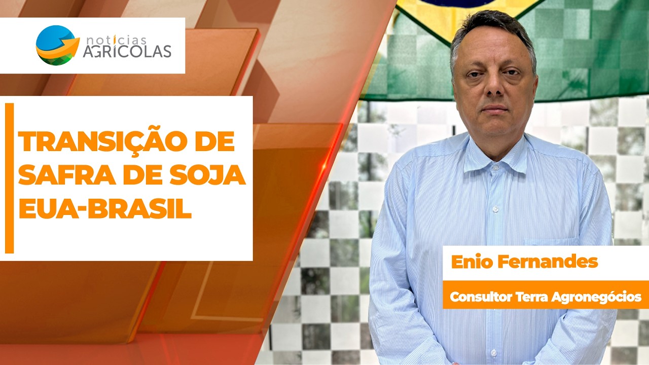 Mercado da soja em Chicago começa a dividir sua atenção entre conclusão da safra dos EUA e início...