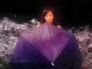 My Umbrella My Umbrella