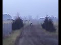 5-o  letni Mati i jego Quad