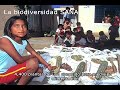 Biodiversidad en el Perú -- SPDA Biodiversidad en el Perú -- SPDA