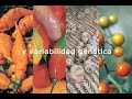 Biodiversidad en el Perú -- SPDA