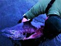 いもフライ動画8