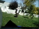 box man dancetime
