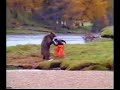 funny salmon ad !