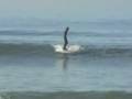 Surfing trails saterday jan 12 2008 Surfing trails saterday jan 12 2008