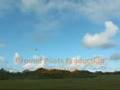Century Heli Raven 50 3D flying