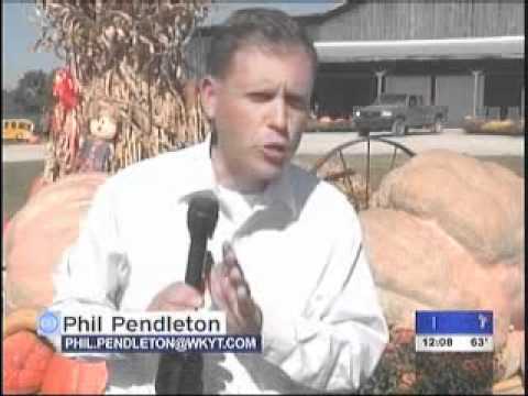 how to grow pumpkins in ky