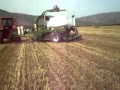mchale998-same rubin 200