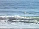 RCSurfer