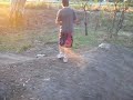 Gv Buggy crashes Gv Buggy crashes