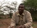 Glimmer of hope for Botswana's rhinos