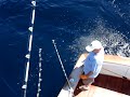 Catching a Yellowfin Tuna