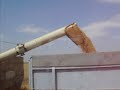 Fortschritt E514 arat + MTZ82 + HW 8011