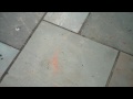 Natural Stone Bluestone Walkway with Steps Going Toward Hot