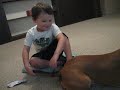 Aiden is waiting for his Autism Assistance Dog!