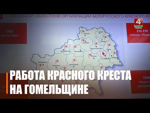 Более 7 000 новых членов пополнили ряды Гомельской областной организации Белорусского Красного Креста в 2025 году. видео