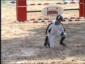 TOP BETISIER