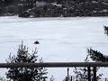 Mach-Z high speed pass -110 MPH