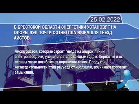 Новостная лента Телеканала Интекс 25.02.22.