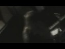 Infected Earth - Vagina Dentata Infected Earth - Vagina Dentata